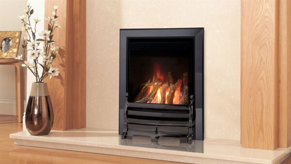 Fantasy BF Thermostatic Remote Control Log